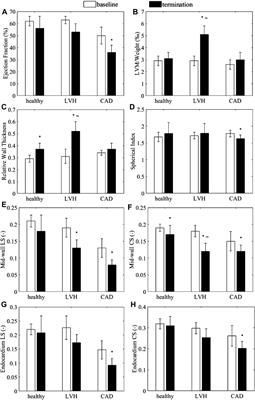 Effects of Hypertrophic and Dilated Cardiac Geometric Remodeling on Ejection Fraction